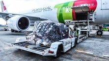 Imagem de TAP carga regressa com A-321