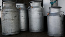Imagem de PSD pede a intervenção do governo nas multas aplicadas aos produtores de leite (Vídeo)