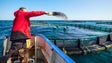 Imagem de PS na Câmara da Calheta contra as jaulas de aquacultura no concelho (Vídeo)