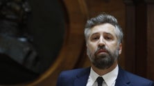 Imagem de Governo assegura solução para a Groundforce
