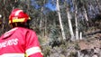 Imagem de Polícia obrigada a intervir nos incêndios em Câmara de Lobos