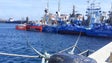 Frota do atum passa Páscoa no cais  (vídeo)