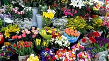 Imagem de Venda de flores triplica no feriado
