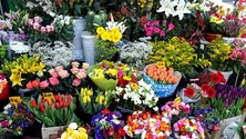 Venda de flores triplica no feriado