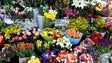 Imagem de Venda de flores triplica no feriado