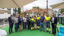Imagem de Câmara do Funchal está a investir 12 milhões de euros na substituição das redes de água (vídeo)