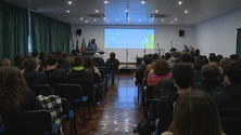Imagem de A importância da matemática (vídeo)