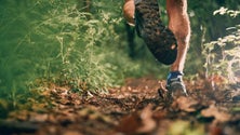 Imagem de Covid-19: Europeu de Veteranos de Atletismo de Montanha e Trail vai realizar-se (Vídeo)