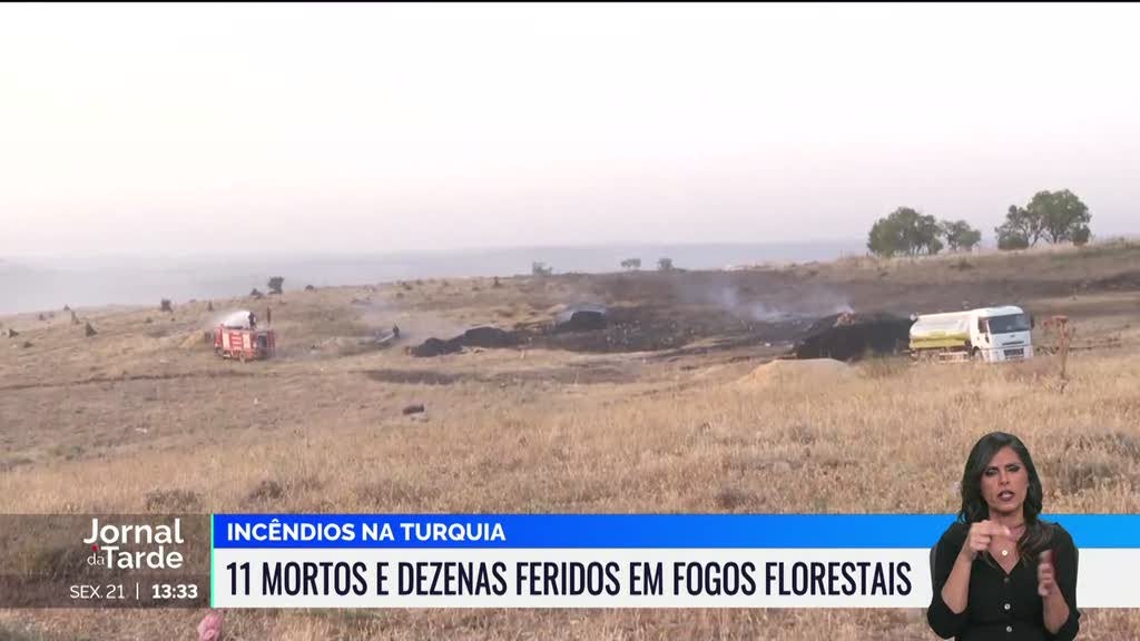 Pelo menos onze pessoas morreram num incêndio florestal, na Turquia