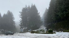 Imagem de Madeira sob aviso amarelo até terça-feira