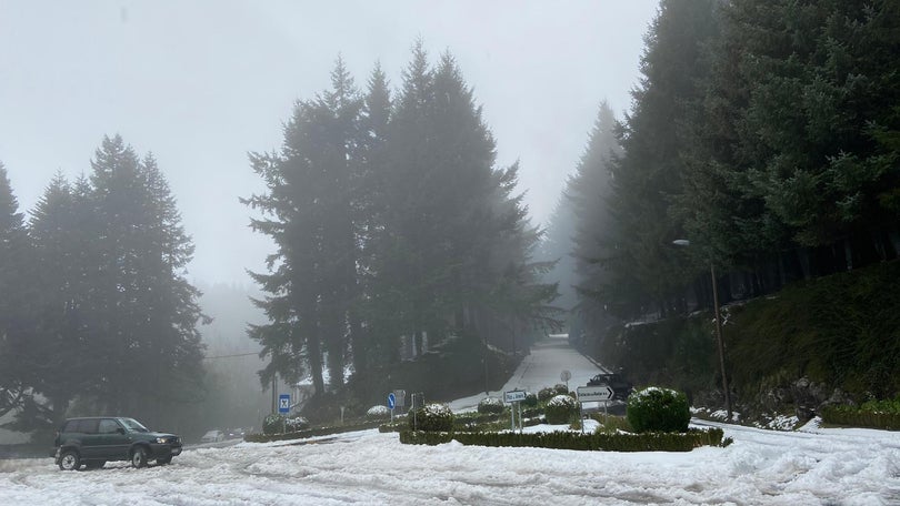 Imagem de Madeira sob aviso amarelo até terça-feira