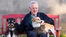Imagem de Uma companhia que preenche o vazio da solidão (áudio)