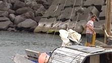 Veleiros tradicionais da Polinésia passam pelos Açores [Vídeo]