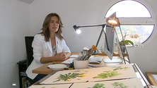 Imagem de Madeirense está a trabalhar num herbário (vídeo)