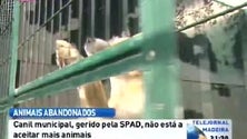 SPAD já não tem capacidade para receber mais animais domésticos