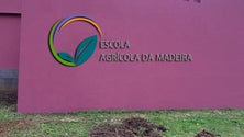 Imagem de 150 formandos receberam diplomas de cursos da Escola Agrícola da Madeira (Vídeo)