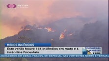 Imagem de Verão deste ano na Madeira teve menos incêndios do que no ano passado