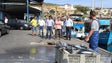 Imagem de Falta de condições para pescadores leva PS a pedir presença de governante no parlamento