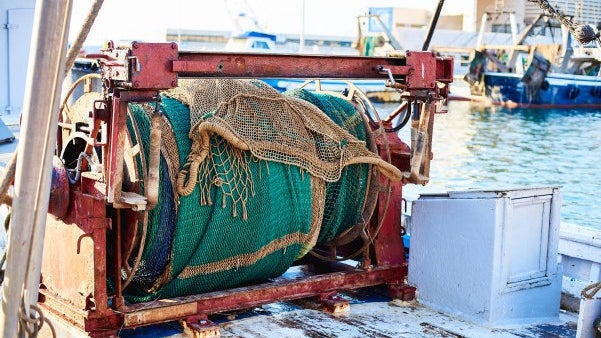Imagem de CDS-PP quer verbas para renovação da frota pesqueira da Madeira