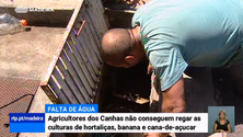 Imagem de Agricultores da Ponta do Sol pedem mais fiscalização nas levadas