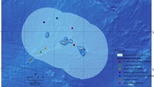 Imagem de Fórum autonómico: Açores precisam de mais áreas marinhas protegidas (Vídeo)