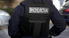 Imagem de PSP detém dois homens por furto de estabelecimento