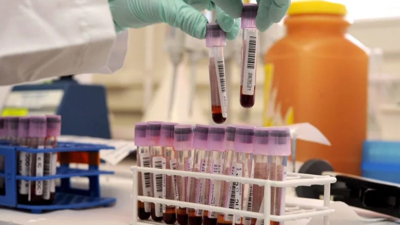 Imagem de China promete analisar amostras de sangue anteriores ao surto em Wuhan