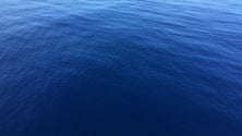 Imagem de Tripulação de navio fez o teste do Coronavírus (Vídeo)