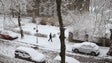 Imagem de Nevão no Reino Unido cancela voos e encerra escolas