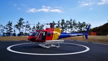 Imagem de POCIF: Madeira tem no terreno 15 equipas de vigilância, 24 horas por dia (Vídeo)