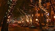 Iluminações de Natal já avançam no Funchal (Vídeo)
