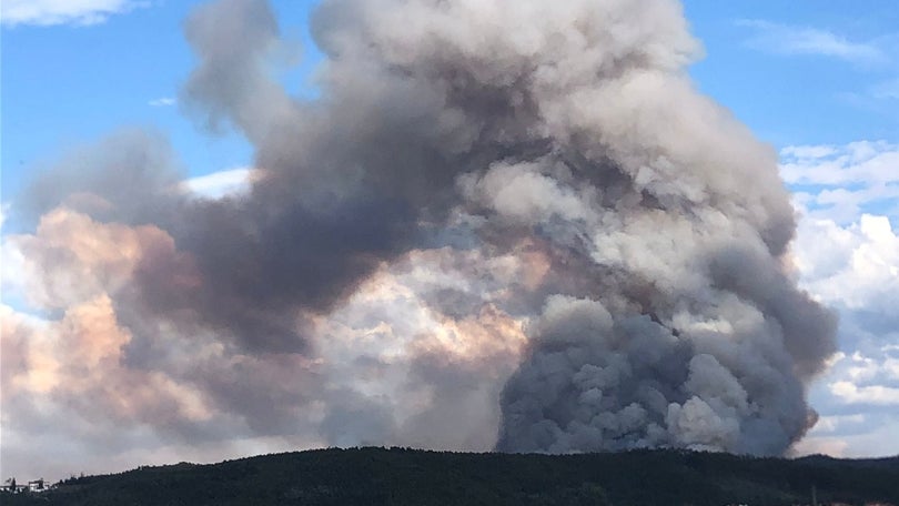 Mais de 620 bombeiros combatem o incêndio em Coimbra