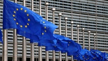 Imagem de Governo da Madeira diz que as negociações com a EU vão ser duras