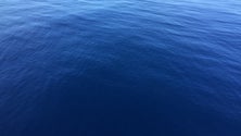 Imagem de Autoridades encontram homem no mar em São Miguel (Vídeo)