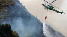 Imagem de Governo Regional pondera investir em mais um helicóptero (vídeo)