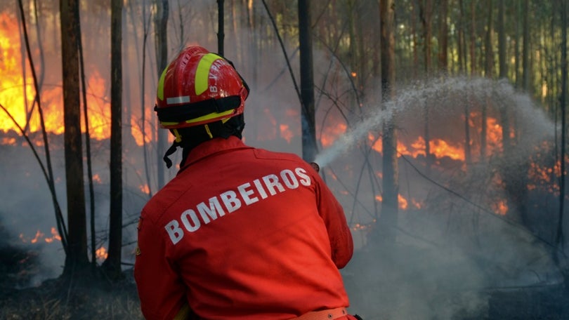 Açores congratulam bombeiros que apoiaram a Madeira