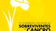 Imagem de 2.º Congresso Nacional de Sobreviventes de Cancro