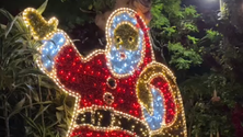 Chegou dezembro e as luzes de Natal foram ligadas ao final da tarde no Funchal (vídeo)