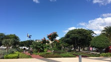 Imagem de Madeira sob aviso amarelo devido ao tempo quente