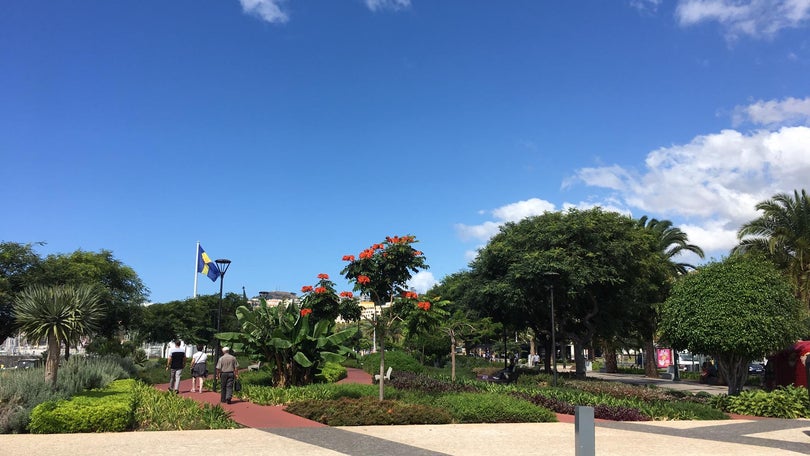 Imagem de Madeira sob aviso amarelo devido ao tempo quente