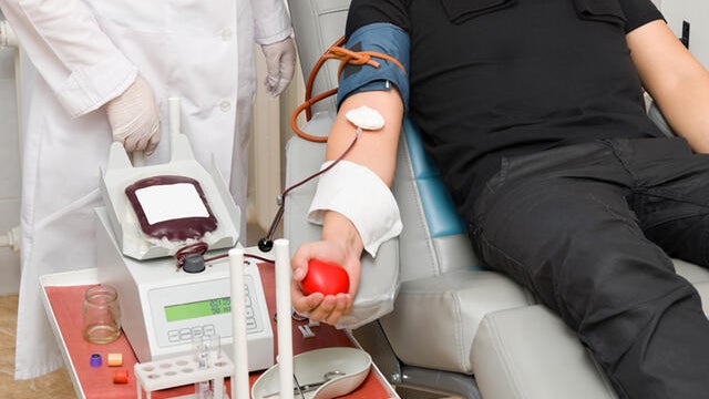 Imagem de Federação de dadores de sangue ameaça suspender atividades