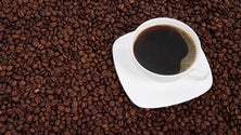 Imagem de Produção de café está a aumentar na ilha Terceira (Vídeo)