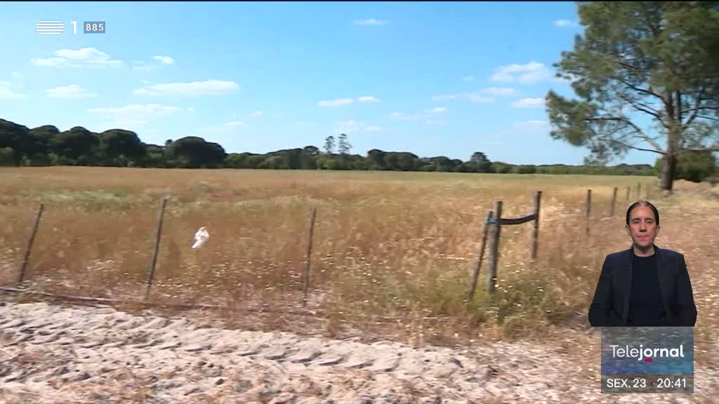 Imagem de Chumbada a Mina da Lagoa Salgada, em Grândola e Alcácer do Sal