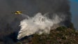 Imagem de Nove meios aéreos e 160 operacionais combatem fogo no Parque do Gerês