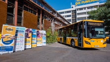 Imagem de Transporte coletivo perdeu  96,6% das receitas