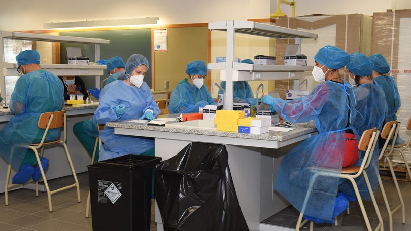 Imagem de Testes rápidos detetam 11 casos