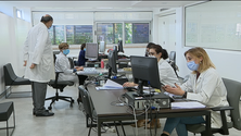Imagem de Insígnia Autonómica para equipa Covid (vídeo)
