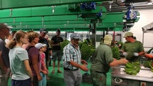 Imagem de GESBA investe 500 mil euros em certificação de agricultores