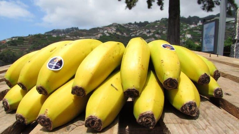 Banana da Madeira em destaque em série de animação