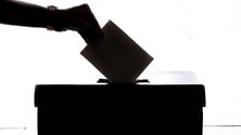 Imagem de Madeira é a única região do país onde o cidadão de férias não pode votar antecipadamente (vídeo)